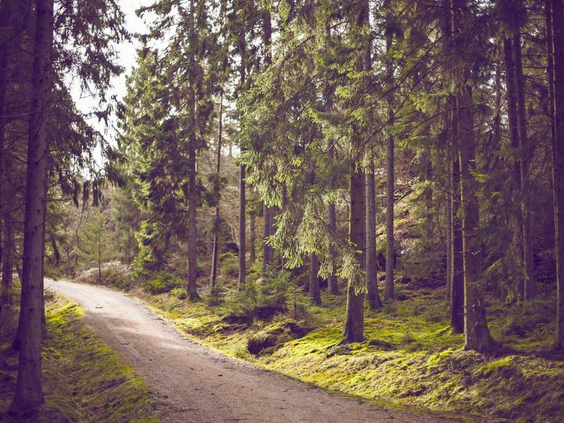 剧能聊<br>影视剧资源与追剧搭子聚集地